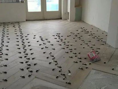 Bouwkundige voorbereiding en uitvoering op een projectlocatie.