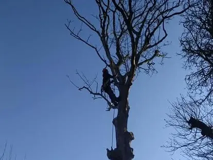Bouwkundige voorbereiding en uitvoering op een projectlocatie.