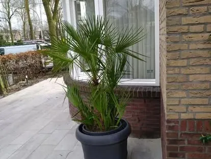 Kozijnen, gevel en buitenwerk na werkzaamheden van KOZ BOUW BV.