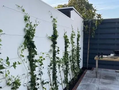 Vernieuwde buitenruimte en gevelafwerking bij een woningrenovatie.