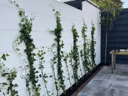 Gevel- en buitenrenovatie uitgevoerd door KOZ BOUW BV.