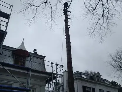 Vernieuwde buitenruimte en gevelafwerking bij een woningrenovatie.