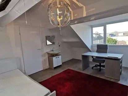 Professionele afwerking van wanden, plafonds, deuren en houtwerk.