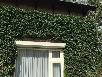 Woninguitbouw uitgevoerd door KOZ BOUW BV in de regio Den Haag.